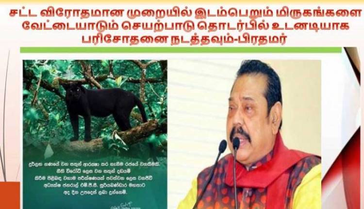 சட்டவிரோதமாக மிருகங்களை வேட்டையாடும் செயற்பாடு  தொடர்பில் உடனடியாக விசாரிக்குமாறு உத்தரவு 