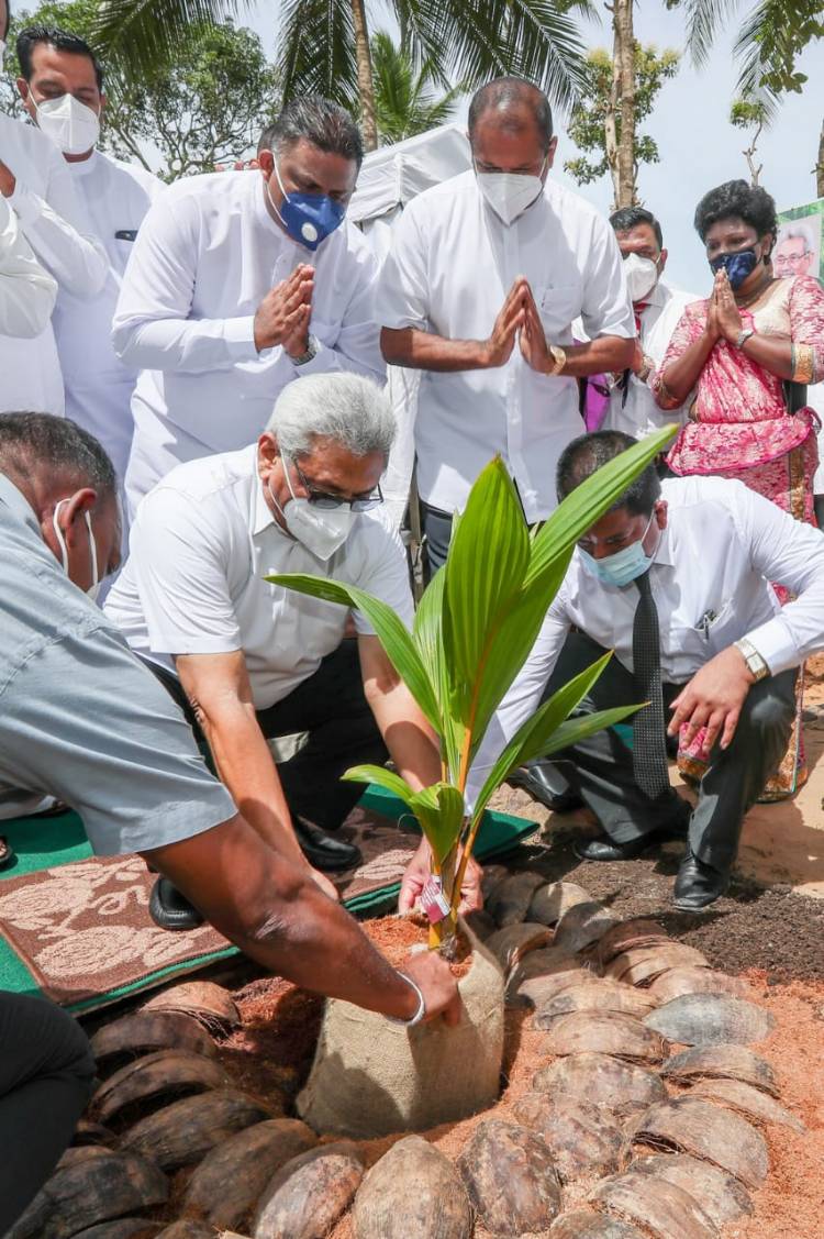 40 இலட்சம் தென்னங் கன்றுகளை நடும் தேசிய  நிகழ்ச்சித்திட்டம் ஜனாதிபதியினால் அங்குரார்ப்பணம்   