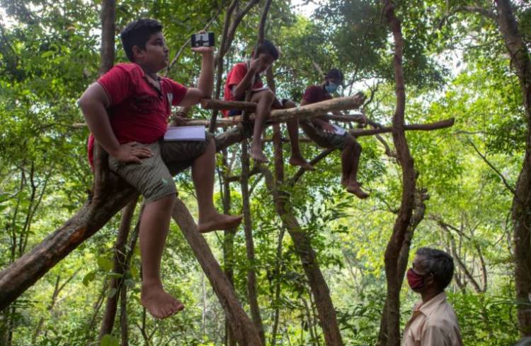 இணையத்தள வசதிக்காக அடர்த்தியான காட்டுப் பகுதி ஊடாக மலையேறும் மாணவர்கள்