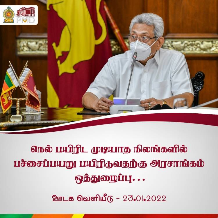 நெல் பயிரிட முடியாத நிலங்களில் பச்சைப்  பயறு பயிரிட அரசாங்கம் ஒத்துழைப்பு